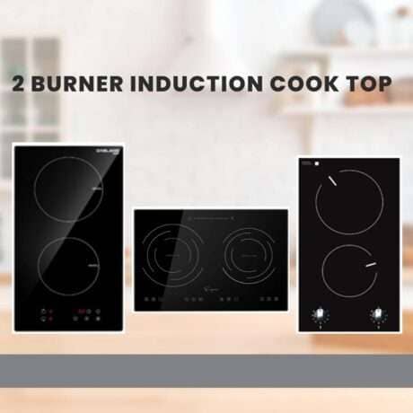 2 burner induction cook top
